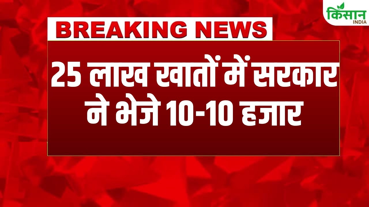 Women Receive Rs 10000 Each Their Accounts Before Holi 2026 Significant Gift From Government