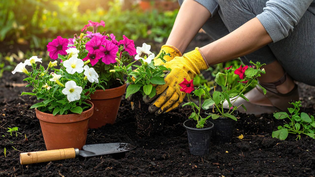 Gardening Tips To Save Your Plants From Dying 6 Easy Home Remedies For Healthy Garden