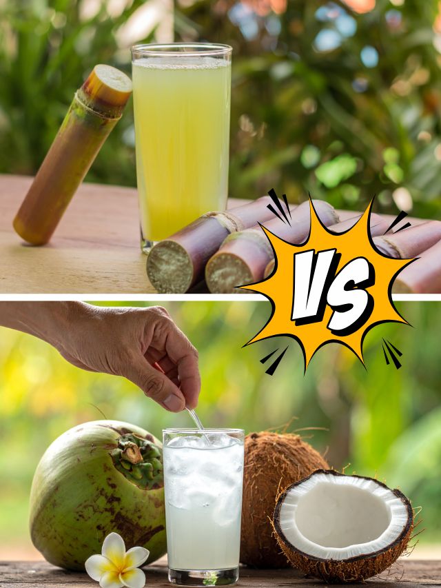 नारियल पानी या गन्ने का जूस, गर्मियों में कौन सा है बेस्ट?