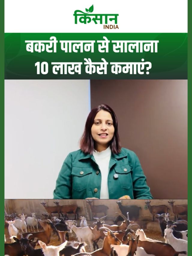 बकरी पालन से सालाना 10 लाख कैसे कमाएं, Goat Farming 2026 में कम निवेश, ज्यादा मुनाफा