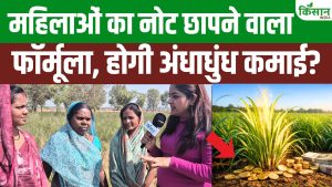बेकार समझी जाने वाली खस घास बनी लाल सोना, छत्तीसगढ़ की महिलाओं ने बदली अपनी आर्थिक किस्मत