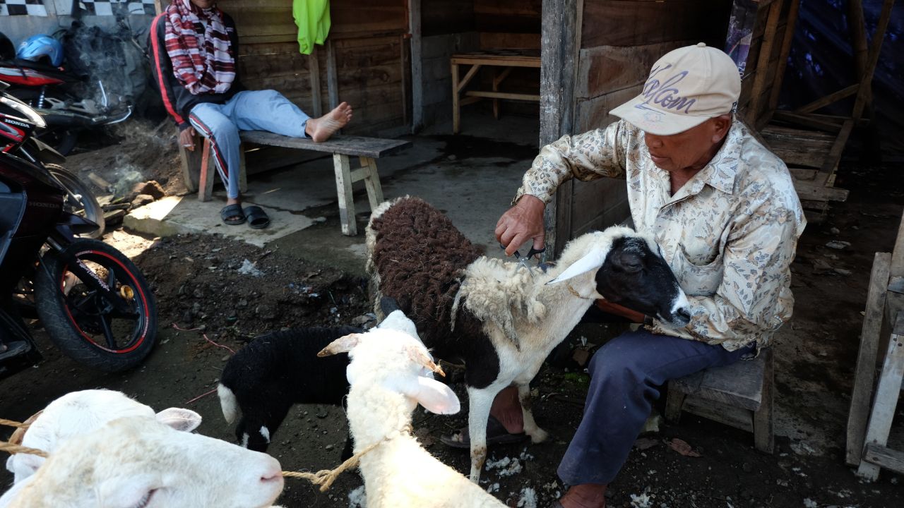 Cold Gone Diseases Here Why Caring Animals Crucial Weather Changes