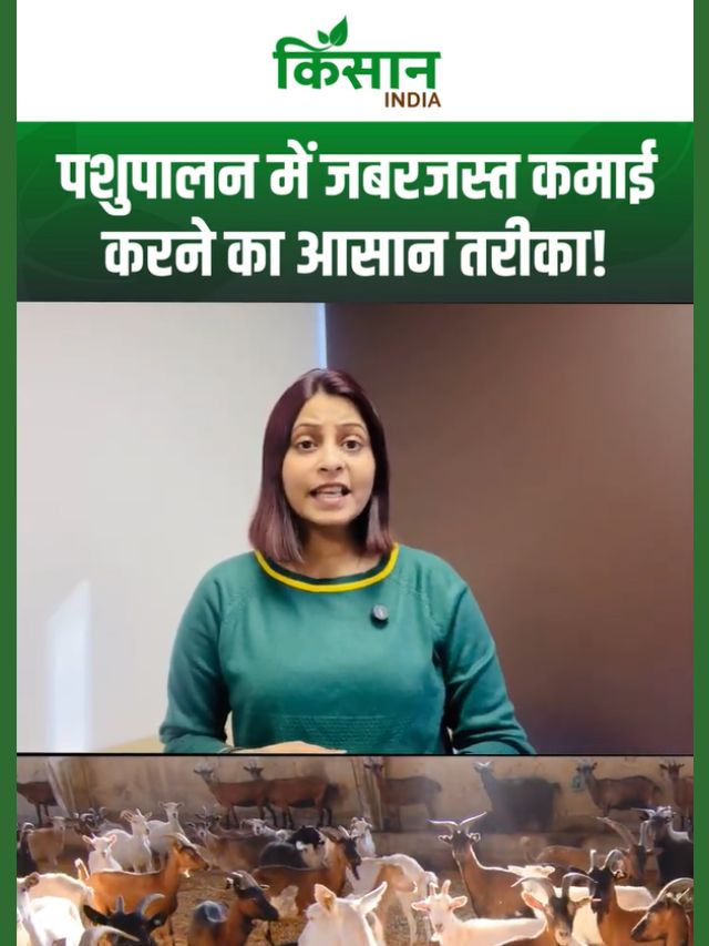 पशुपालन से होगी जबरदस्त कमाई! बकरी, सुअर या डेयरी – कौन सा बिजनेस सबसे फायदे का?