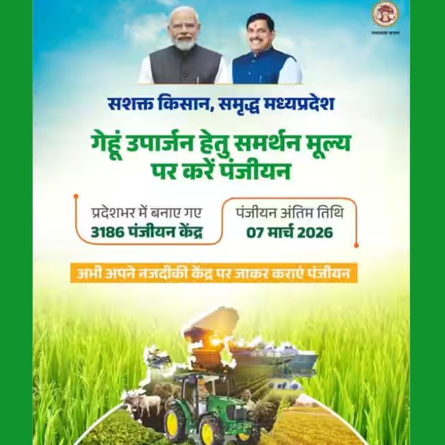 MP wheat procurement 2026, wheat procurement, wheat procurement in MP, wheat MSP 2585 per quintal, wheat registration last date 7 March,