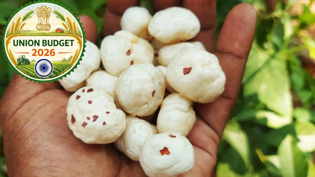 Was Budget 2026 Better For Farmers Than Last Year Budget