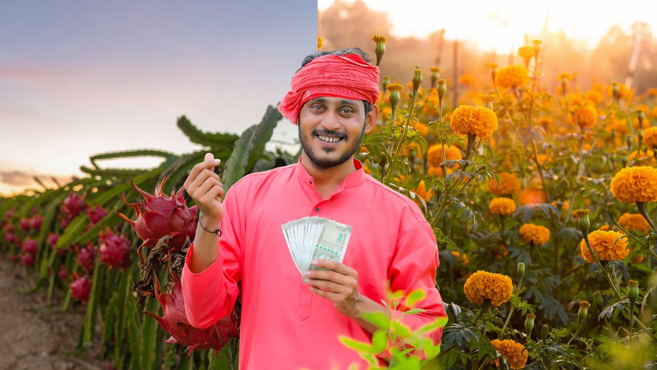 Mukhyamantri Audyanik Vikas Yojana Subsidy On Dragon Fruit Marigold Farming In Uttar Pradesh