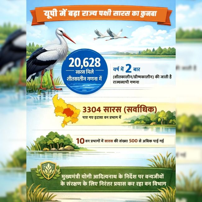 Wildlife Conservation, Sarus Crane, Uttar Pradesh, Biodiversity, Environment Protection