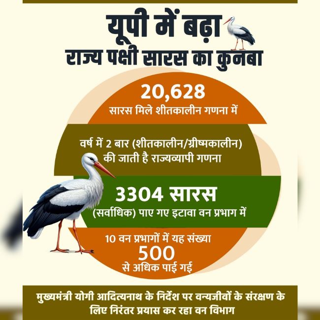 Wildlife Conservation, Sarus Crane, Uttar Pradesh