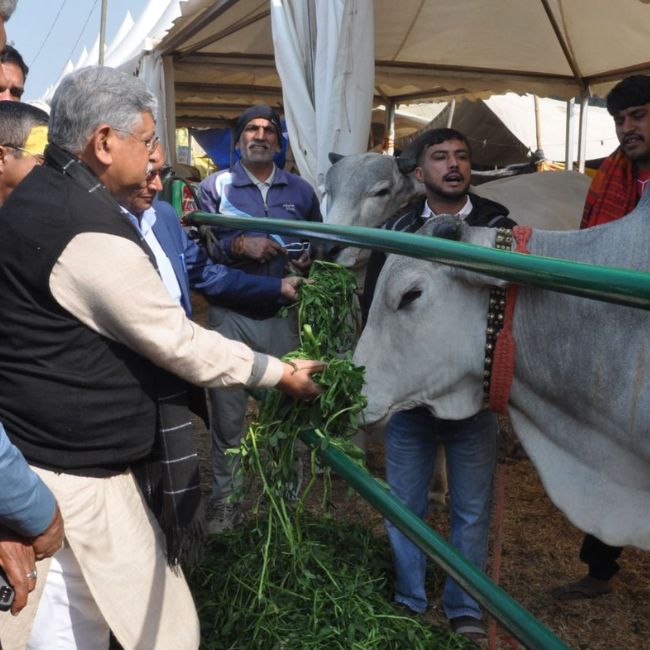 Dairy Farming, Indigenous Cattle, Livestock Fair, Animal Health, Milk Production, Union Minister of Fisheries, Animal Husbandry Dairying and Panchayati
