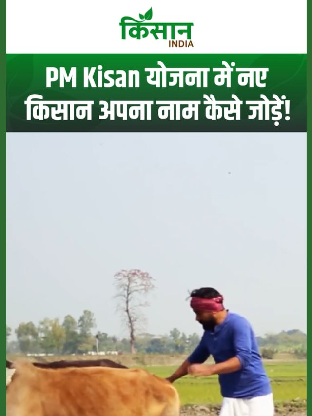 PM Kisan Yojana Update 2026 : पात्रता, रजिस्ट्रेशन और जरूरी दस्तावेज की पूरी जानकारी