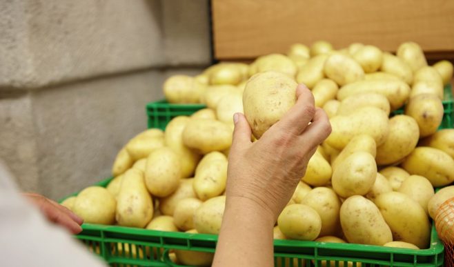 आलू के रेट में गिरावट, 3 रुपये किलो बेचने को मजबूर हुए किसान.. कब शुरू होगी MSP पर खरीदी?