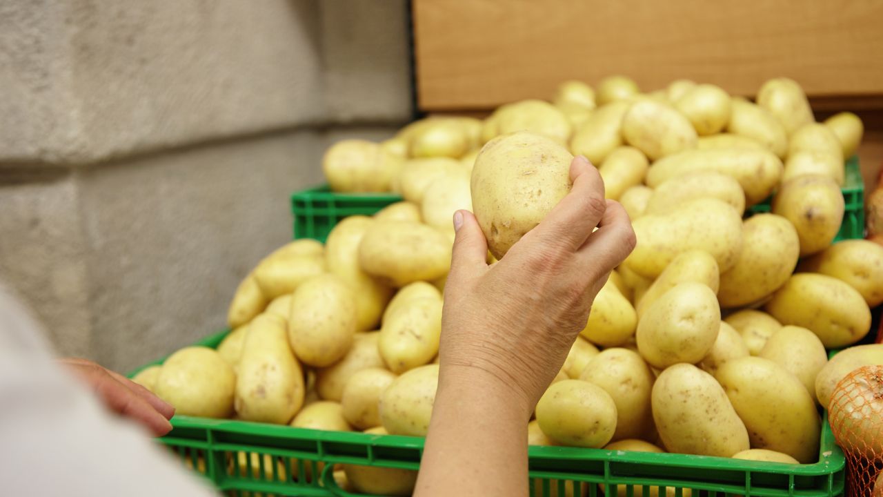 West Bengal Potato Production 30 Percent Cold Storage Space Will Be Reserved For Farmers