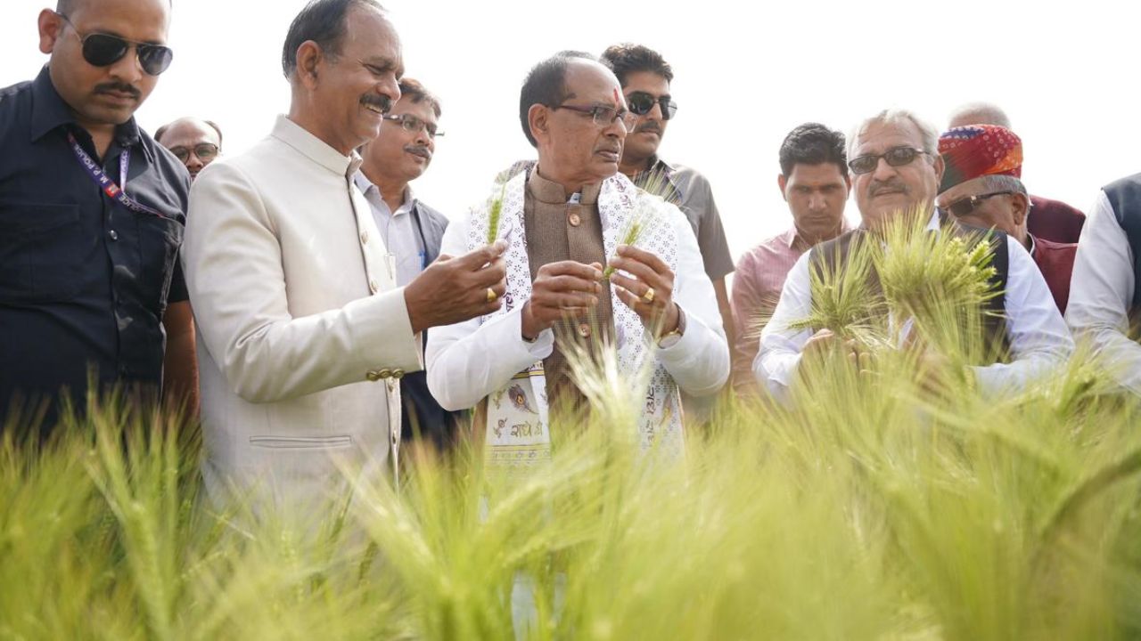 Rajasthan Agricultural Research Institute Rari Developed Special Variety Of Barley Better Than Wheat And 20 New Varieties Of Gram Chana
