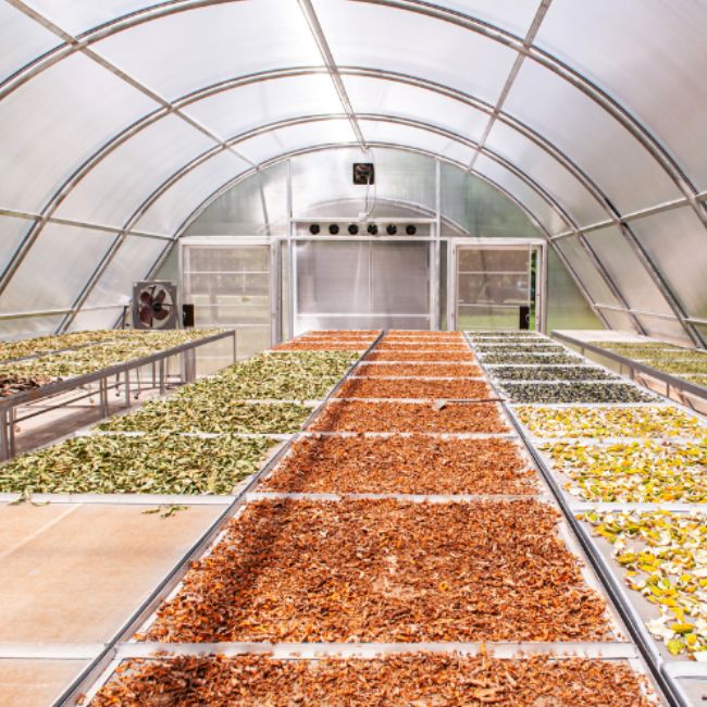 Solar Crop Dryer Benefits