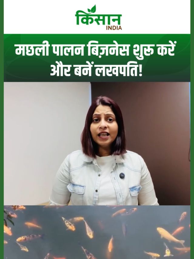 मछली पालन शुरू करें और कमाएं लाखों, सरकारी योजना पूरी जानकारी