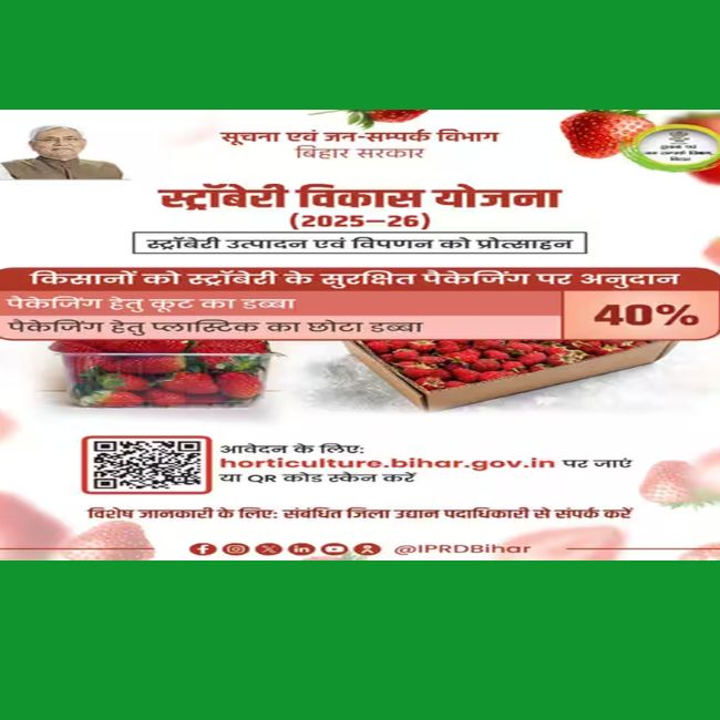 Bihar Strawberry Vikas Yojana 2026, strawberry farming subsidy Bihar