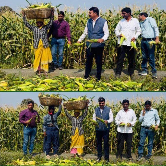 Success Farmer Ramesh Sathate Madhya Pradesh 