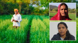 मुफ्त खाद-बीज मिलने से केमिकल फ्री खेती की ओर बढ़ रहे किसान, 59 हजार से ज्यादा ने कराया नामांकन