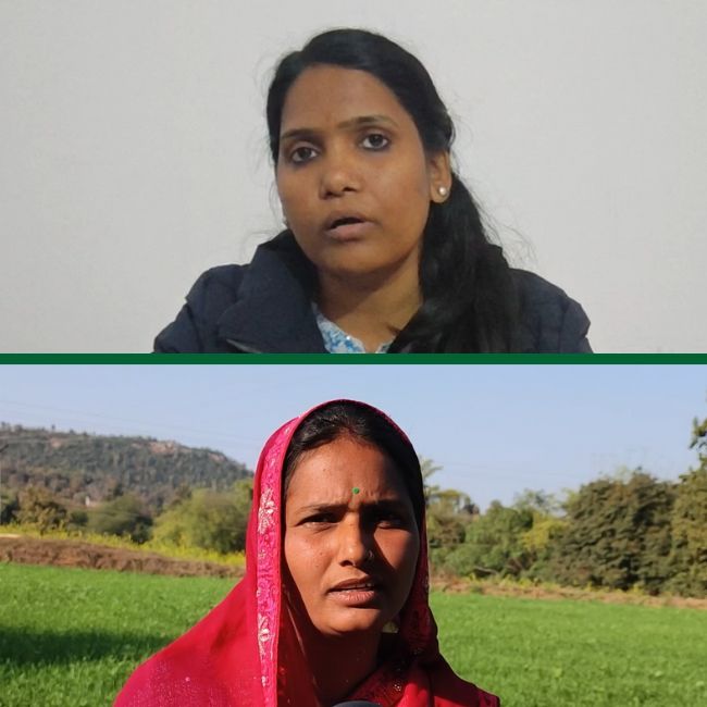 Sidhi District Farmers opt natural farming