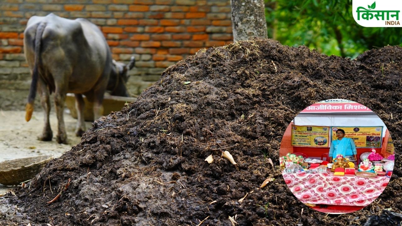 From Four Walls House To Market Women Earn 2 5 Lakh Rupees Annually From Panchagavya Products