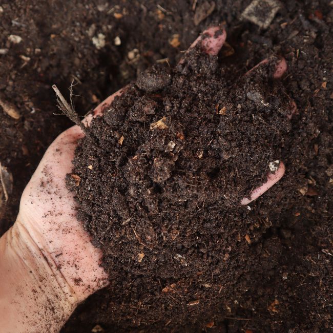 Organic Farming, Vermicompost, Sustainable Agriculture, Soil Health, Composting