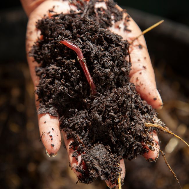 Organic Farming, Vermicompost, Sustainable Agriculture, Soil Health, Composting