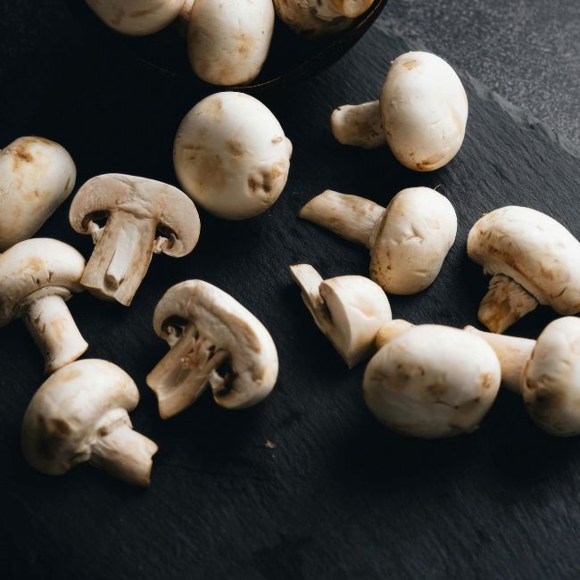 Mushroom Farming, Button Mushroom, Farmer Subsidy, Agriculture Income, Horticulture Scheme