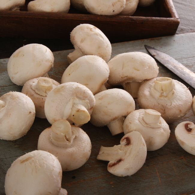 Mushroom Farming, Button Mushroom, Farmer Subsidy, Agriculture Income, Horticulture Scheme