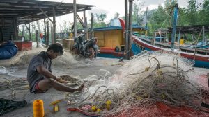 सरकारी योजना का कमाल.. 17 हजार किसान बन गए मछली पालक, जानिए आप कैसे उठा सकते हैं लाभ?