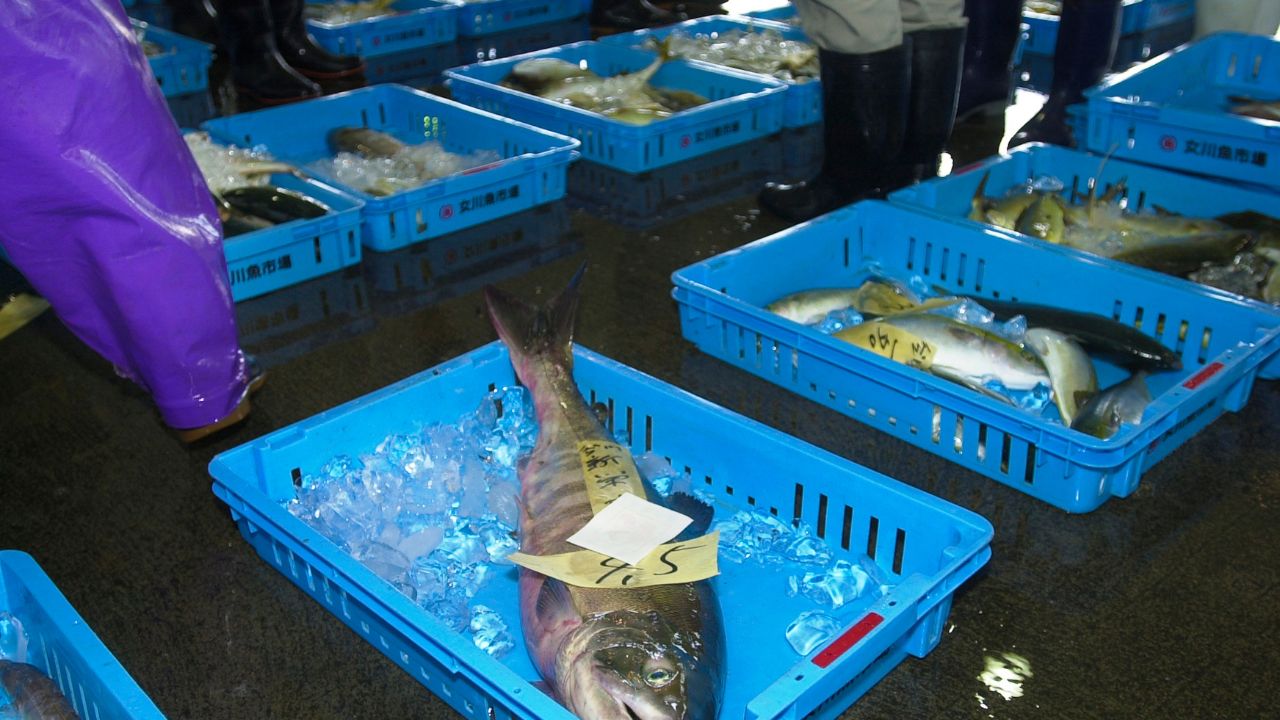 Fish Mall In Bihar Worth Rs 70 Crore Being Built Here Which Reduce Cost Fish Farmers And Provide Great Support