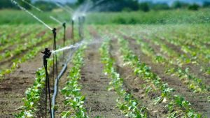 Drip Irrigation: एक लाख का सिंचाई सिस्टम अब सिर्फ 10 हजार में, किसान आज ही करें आवेदन
