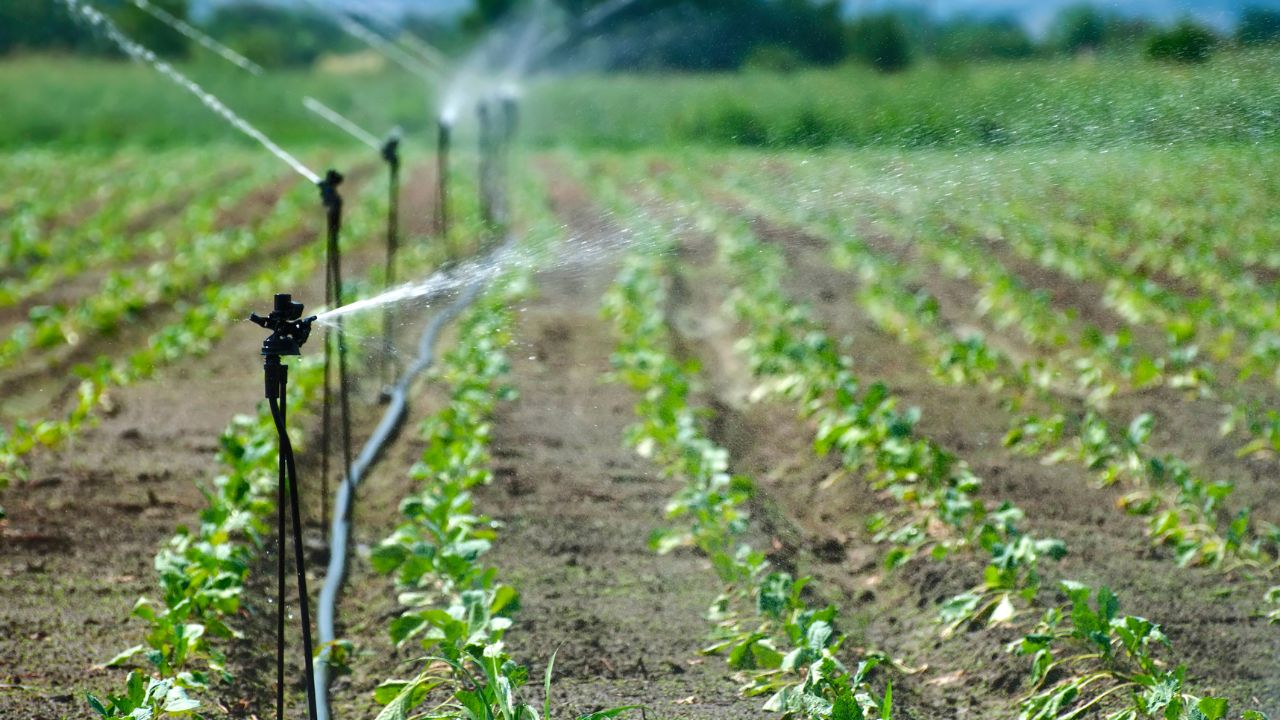 Drip Irrigation System Subsidy Worth Rs 1 Lakh Now Available For Just Rs 10000 Apply Today