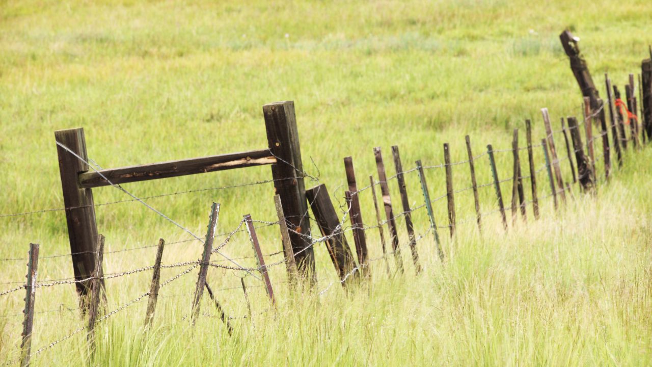 Crop Protection: MP सरकार की नई योजना से किसानों को राहत, 200 मीटर तक खेत की बाउंड्री मुफ्त