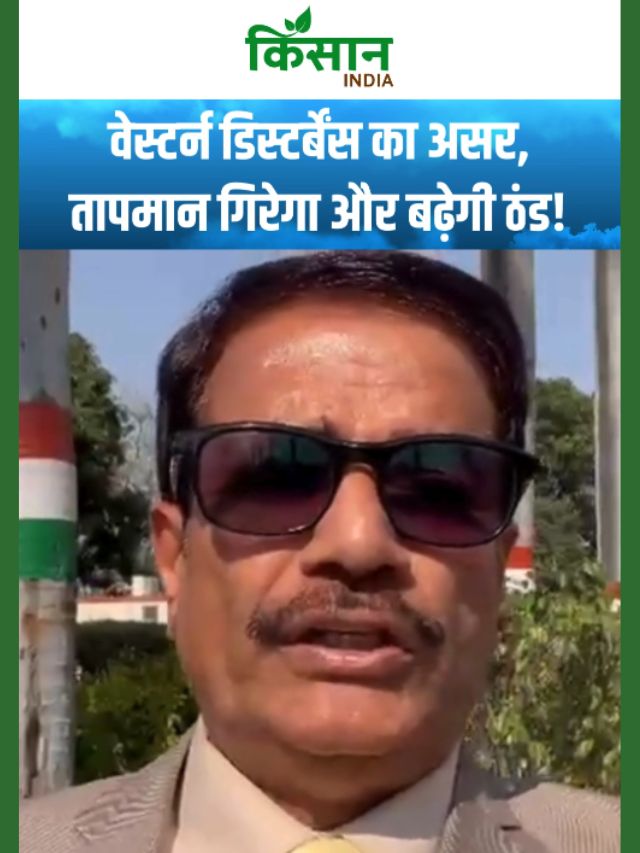 पंजाब-हरियाणा और यूपी में गरज-चमक के साथ बारिश के आसार! पश्चिमी विक्षोभ का असर!