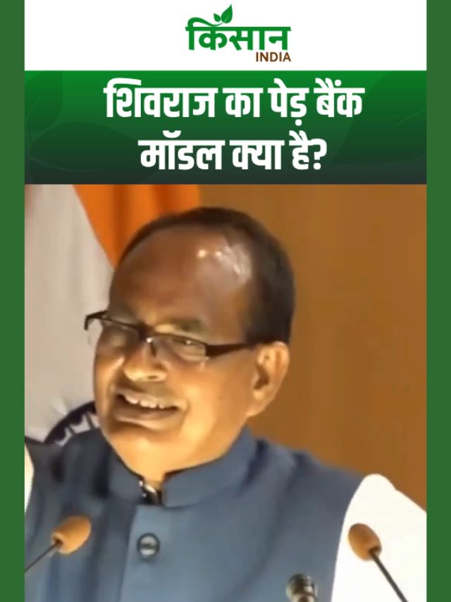 शिवराज सिंह चौहान का बड़ा आइडिया! अब बनेगा पेड़ बैंक, आपके नाम से लगेगा पौधा!
