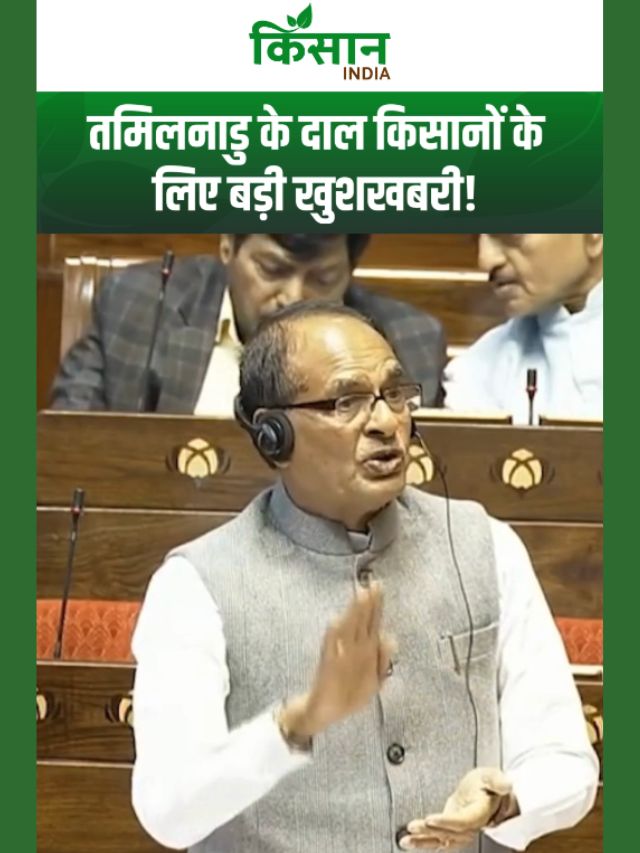 तमिलनाडु के दाल किसानों के लिए बड़ी खुशखबरी, शुरू हुआ दलहन आत्मनिर्भरता मिशन!