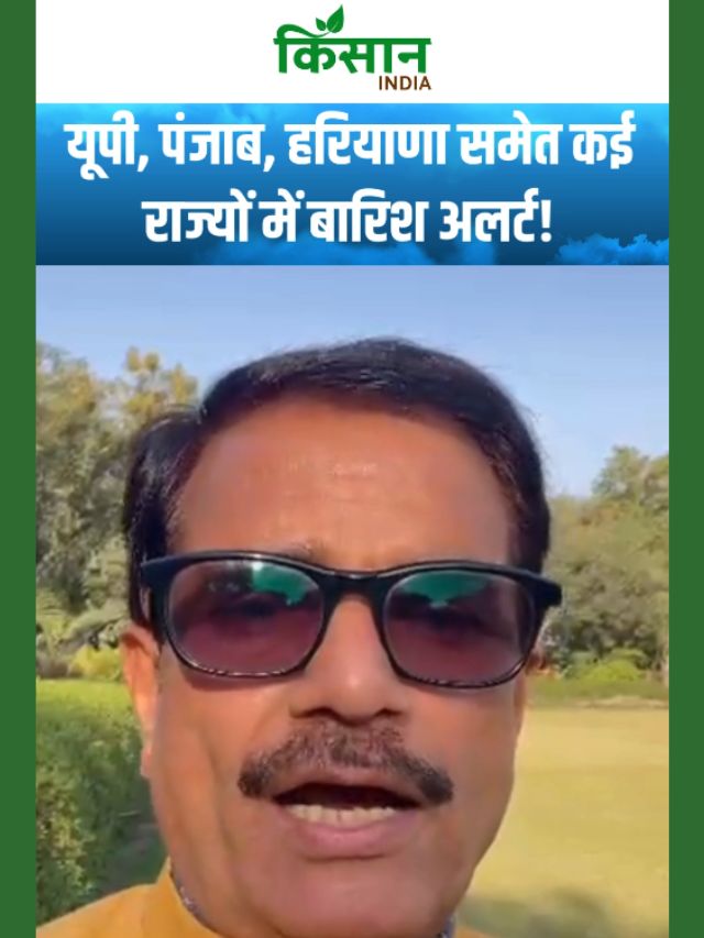 फरवरी में बदला मौसम का मिजाज! यूपी, पंजाब, हरियाणा समेत कई राज्यों में बारिश का अलर्ट!