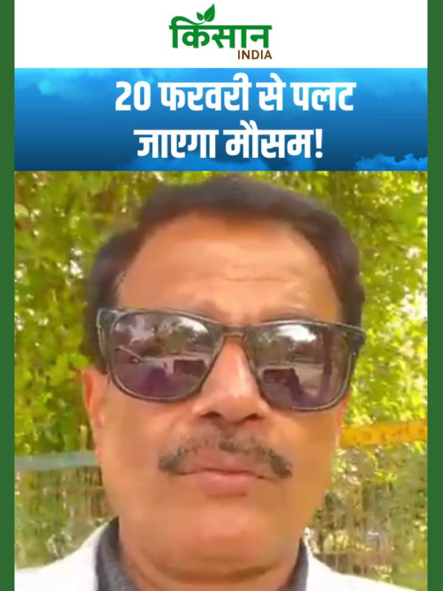 देश के इन राज्यों में कहर बरपाने वाला है मौसम, 20 फरवरी से होगी झमाझम बारिश!