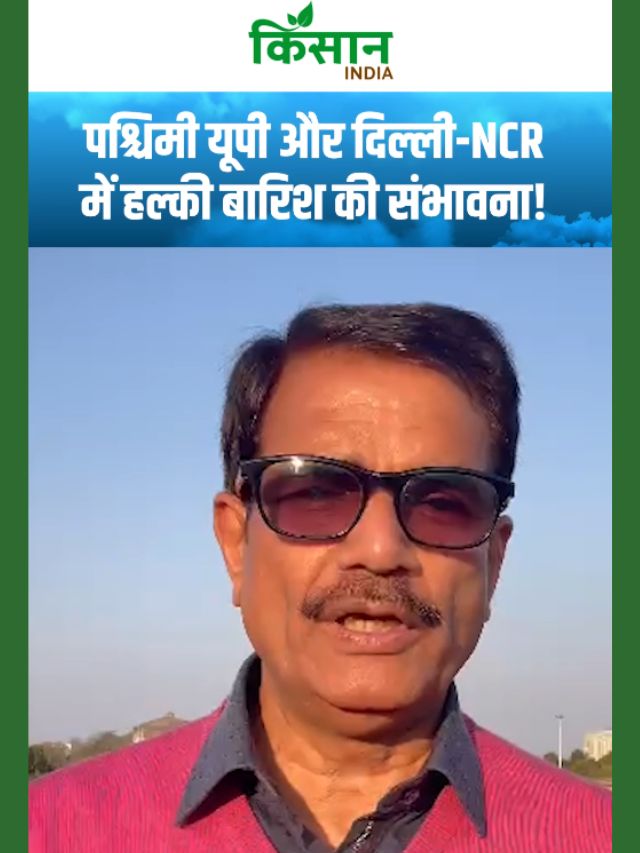 पश्चिमी यूपी और दिल्ली-NCR में हल्की बारिश की संभावना! गरज-चमक के साथ बूंदाबांदी!
