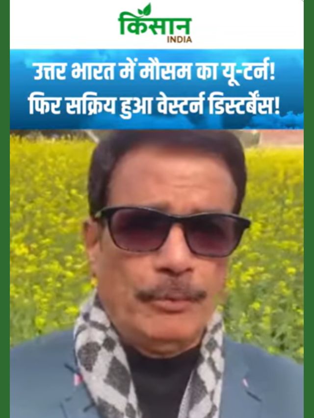 उत्तर भारत में मौसम का यू-टर्न! फिर सक्रिय हुआ वेस्टर्न डिस्टर्बेंस!