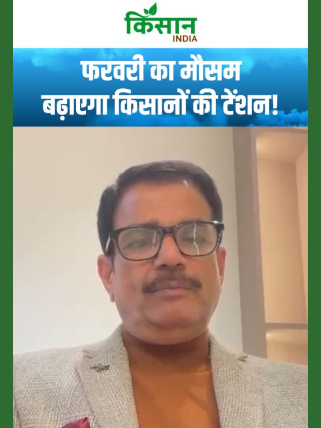 फरवरी की शुरुआत में देशभर में मौसम का बड़ा बदलाव! उत्तर भारत में बारिश, बर्फबारी का अलर्ट!