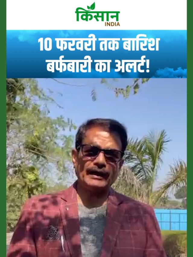 10 फरवरी को तक बारिश-बर्फबारी को लेकर अलर्ट जारी! इन राज्यों में होगा मौसम का बदलाव!