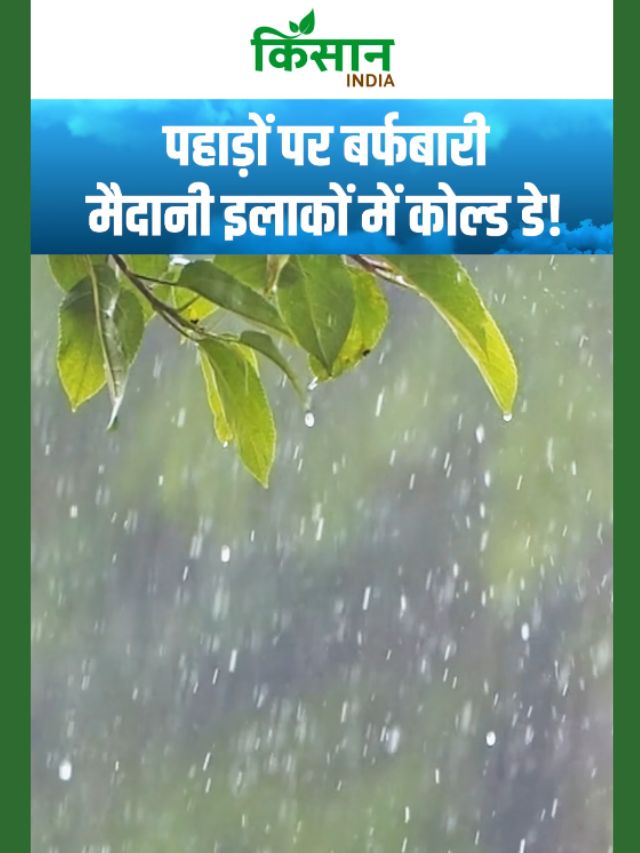 Aaj Ka Mausam | उत्तर भारत में कोहरा और शीतलहर, विजिबिलिटी होगी बेहद कम!