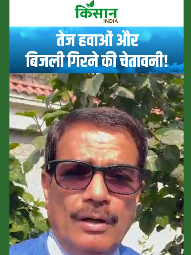 Aaj Ka Mausam | उत्तर भारत में मौसम का नया यू-टर्न! पश्चिमी विक्षोभ फिर होगा सक्रिय!