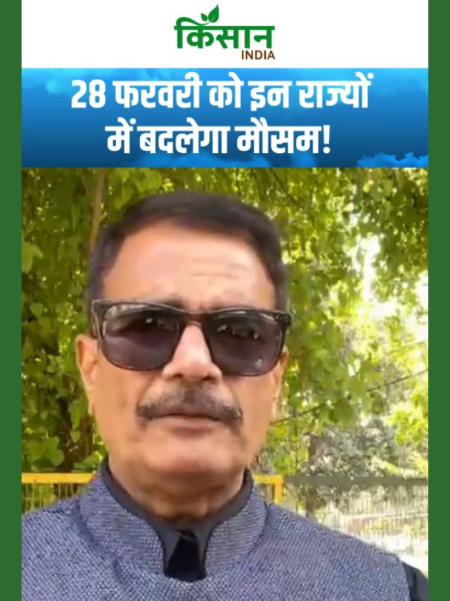 Aaj Ka Mausam | मौसम ने ली करवट! दक्षिण से पहाड़ों तक बारिश के आसार!