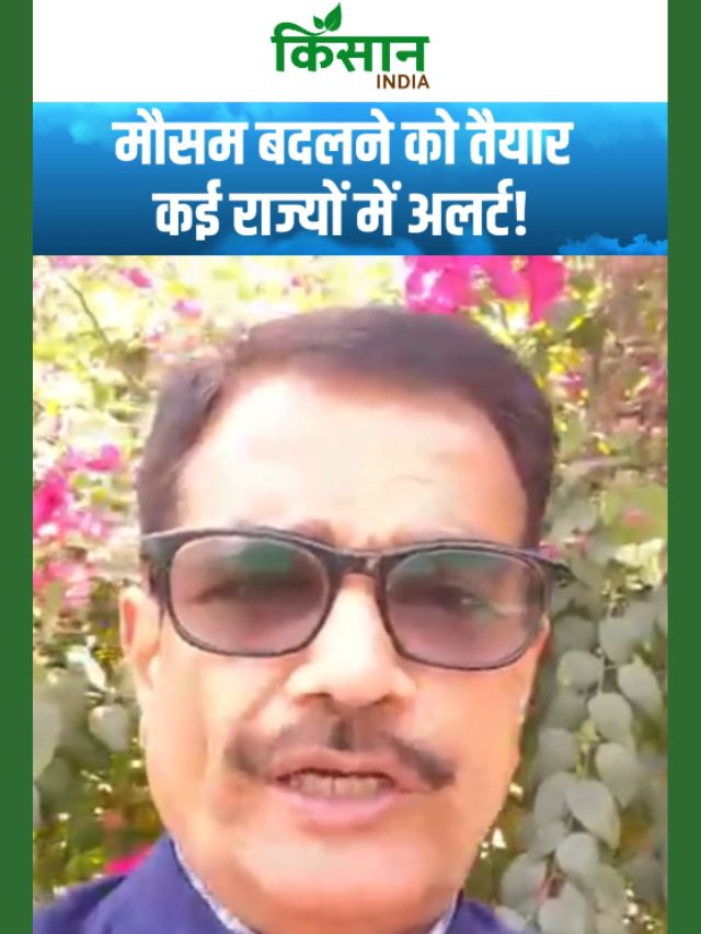 मौसम ने ली करवट! उत्तर भारत में भीषण गर्मी, 7 राज्यों में बारिश का अलर्ट!