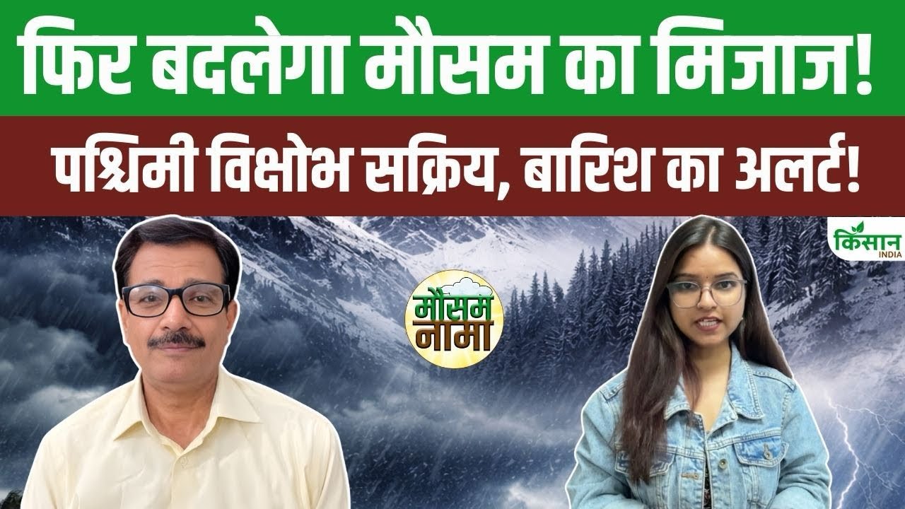 Weather Update Today Weather Will Change From Delhi To Himachal Check Rain And Fog Alert