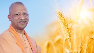 गेहूं किसानों को 2512 करोड़ रुपये का भुगतान, फसल खरीद में तेजी.. अब नए गेहूं पर बढ़कर मिलेगा भाव