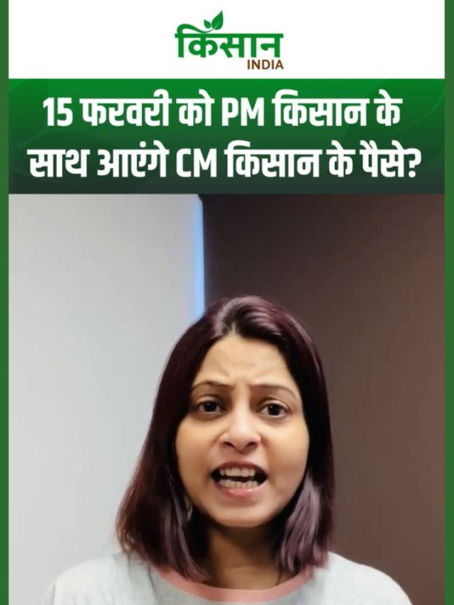 सीएम किसान और पीएम किसान का पैसा 15 फरवरी से पहले एक साथ मिलेगा? जानें बड़ा अपडेट