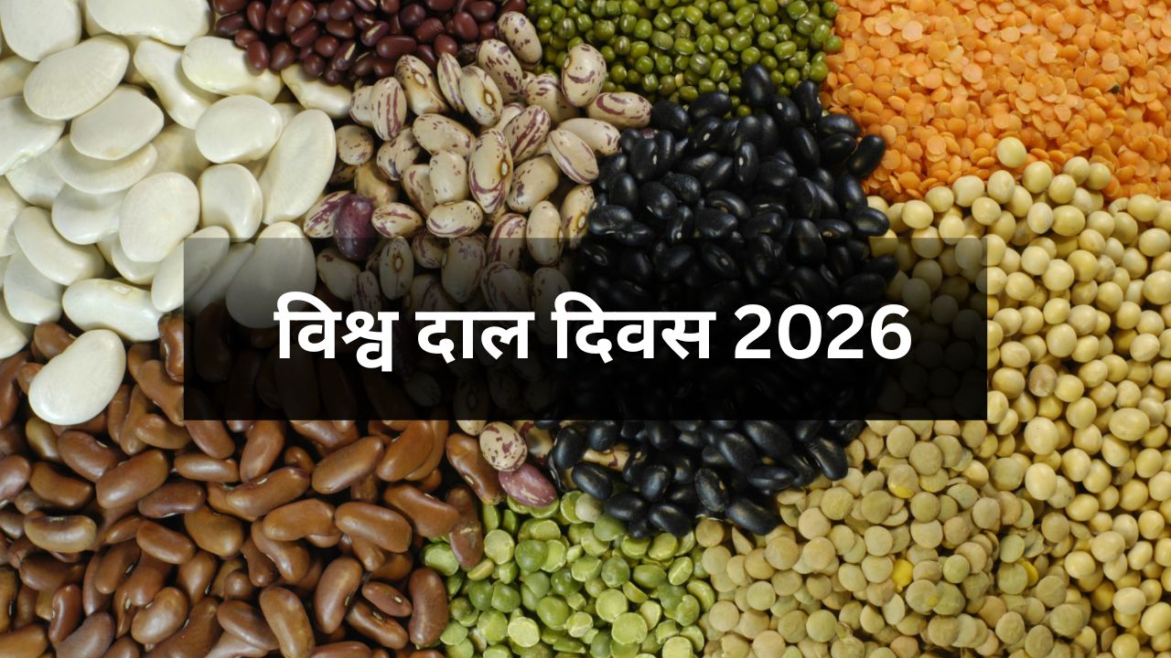 World Pulses Day 2026 Benefits Of Pulses For Health Farming Dal Khane Ke Fayde